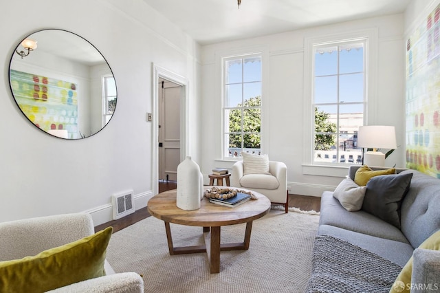 living room featuring wood-type flooring