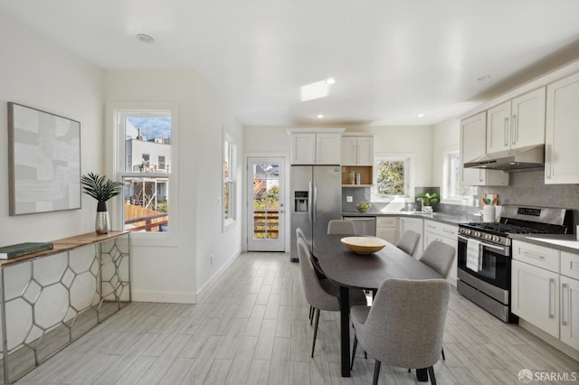 kitchen featuring under cabinet range hood, stainless steel appliances, backsplash, and light wood finished floors