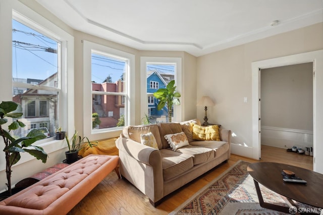 living area featuring a healthy amount of sunlight and light wood-style flooring