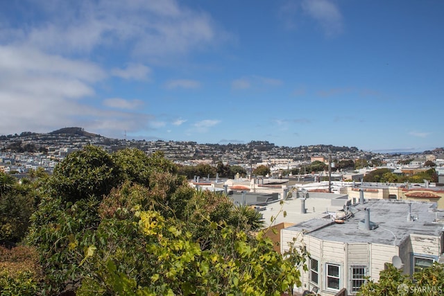 58 Sala Ter, San Francisco, CA 94112 - photo 50
