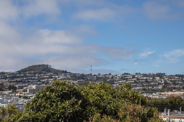 58 Sala Ter, San Francisco, CA 94112 - photo 52