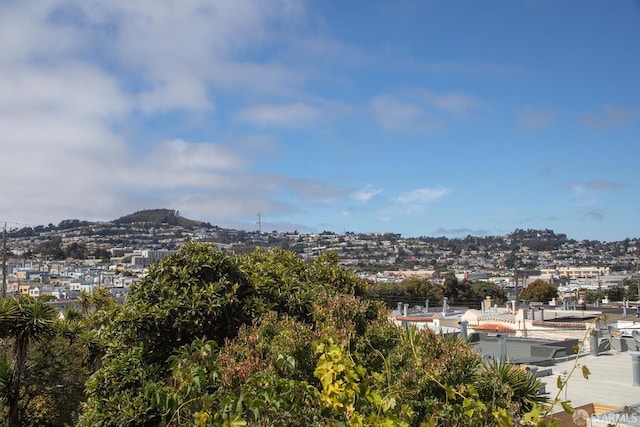 58 Sala Ter, San Francisco, CA 94112 - photo 42