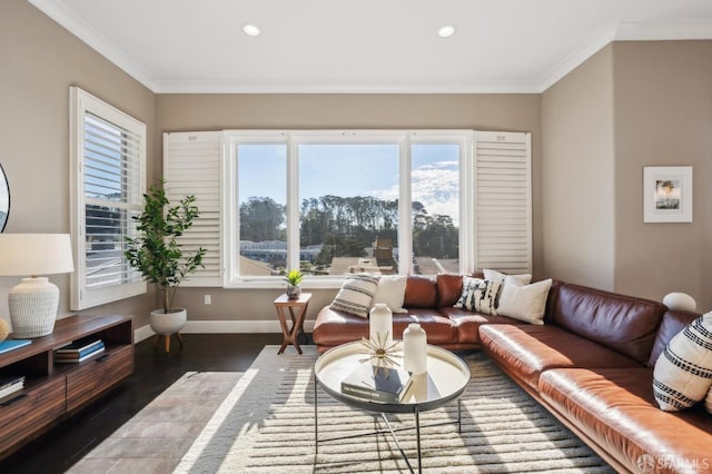 living room featuring dark hardwood / wood-style flooring and crown molding