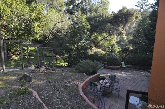 view of yard with a patio