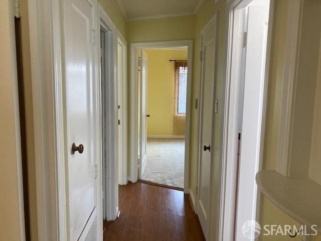 hallway with dark hardwood / wood-style flooring and crown molding