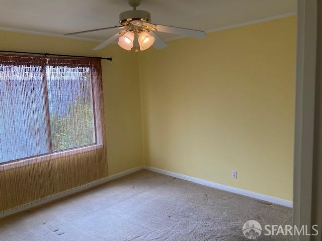 carpeted spare room with ceiling fan and a healthy amount of sunlight