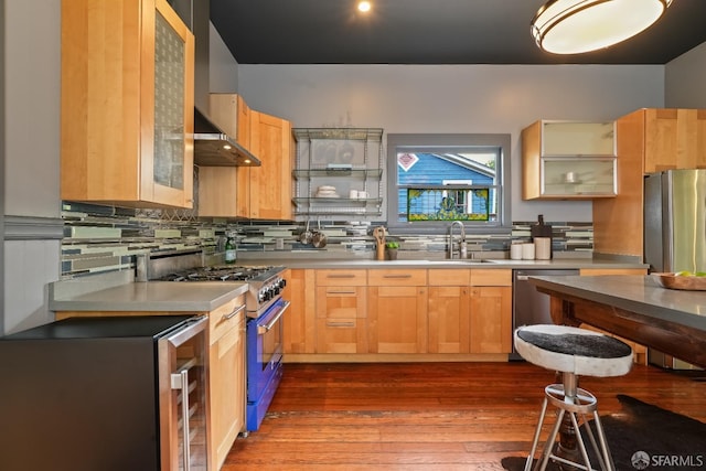 kitchen featuring decorative backsplash, stainless steel appliances, a sink, dark wood-style floors, and wall chimney exhaust hood