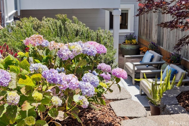 46 Otsego Ave, San Francisco, CA 94112 - exterior view