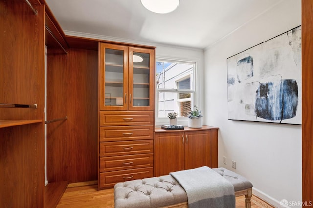 46 Otsego Ave, San Francisco, CA 94112 - walk in closet with light wood-type flooring