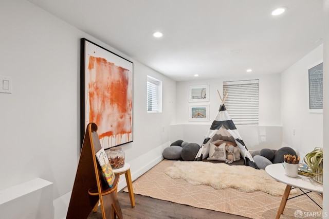 46 Otsego Ave, San Francisco, CA 94112 - rec room featuring recessed lighting and wood finished floors