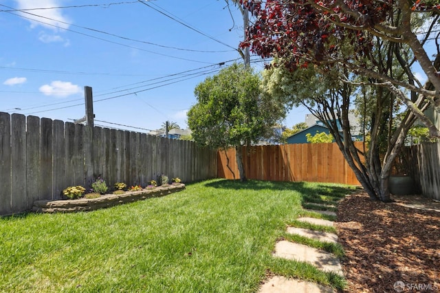 46 Otsego Ave, San Francisco, CA 94112 - view of fenced backyard