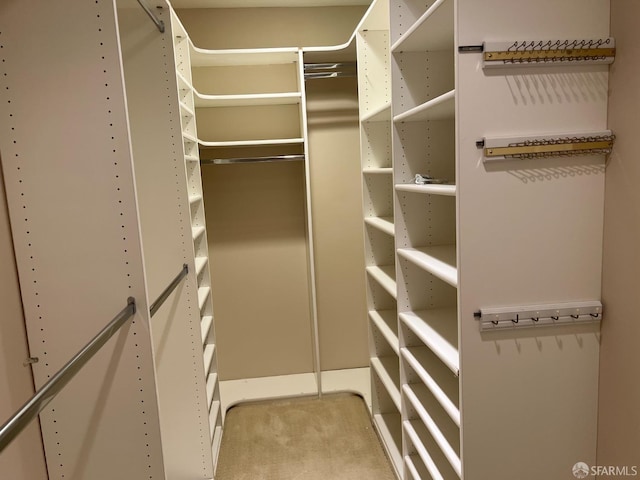 183 Lakeshore Dr, San Francisco, CA 94132 - spacious closet featuring light colored carpet
