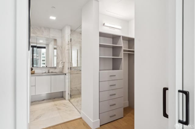 2177 3rd St Unit 421, San Francisco, CA 94107 - walk in closet featuring a sink and light wood-type flooring