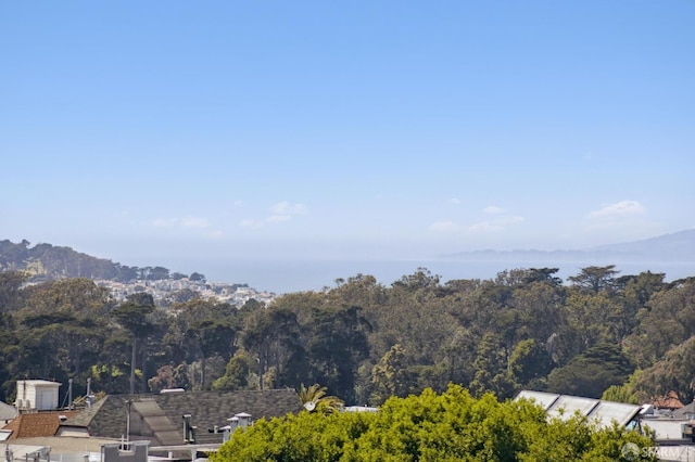 view of mountain backdrop featuring a heavily wooded area