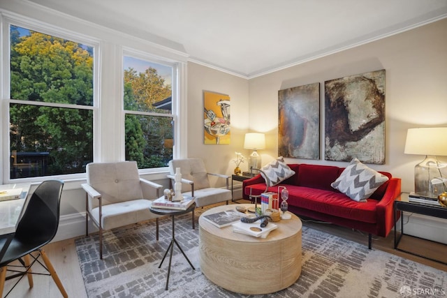 living area featuring wood finished floors and ornamental molding