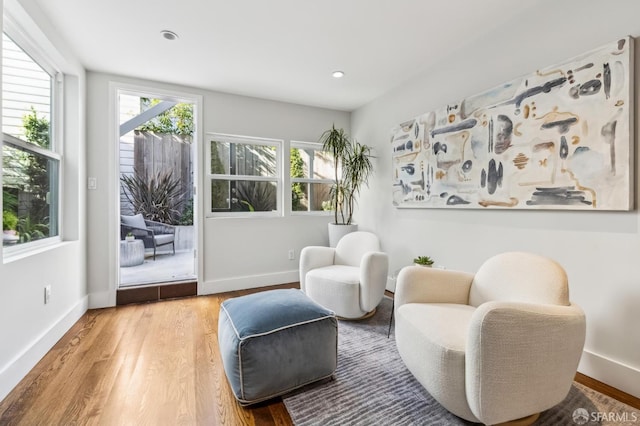 living area featuring hardwood / wood-style floors