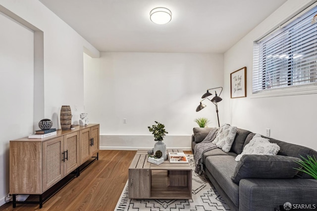 living room featuring hardwood / wood-style flooring