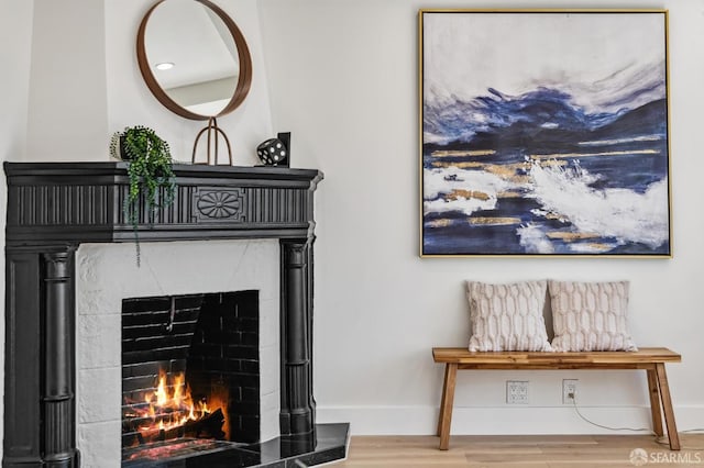 details featuring a tiled fireplace and hardwood / wood-style floors