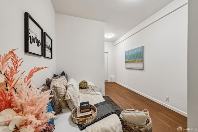 living room featuring hardwood / wood-style flooring