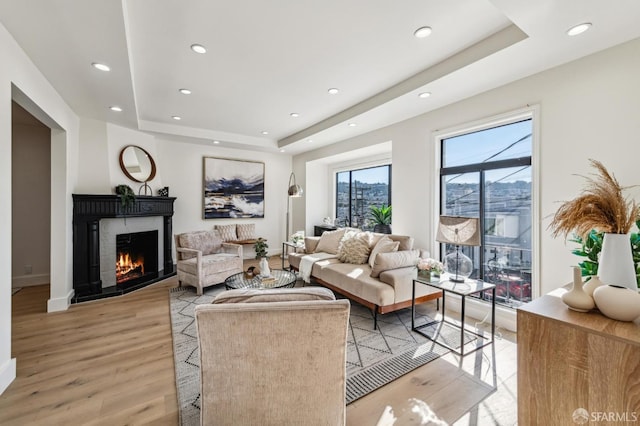 living room featuring light wood-type flooring and a tray ceiling