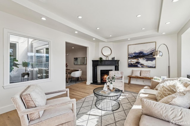 living room with a raised ceiling and light wood-type flooring