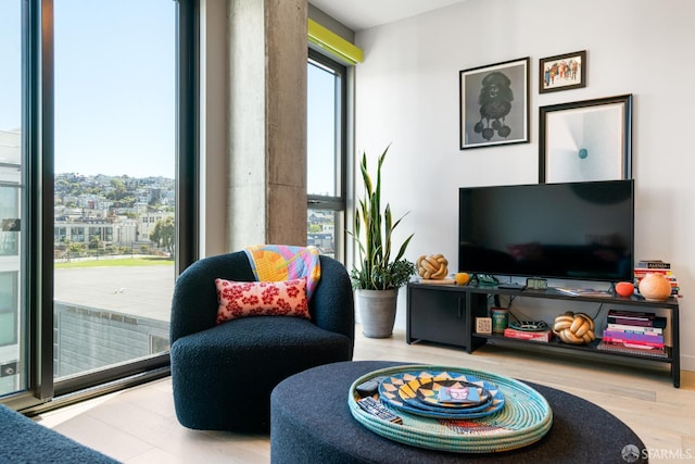 88 Arkansas St Unit 528, San Francisco, CA 94107 - living room featuring wood finished floors
