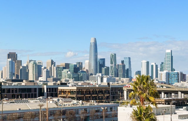 88 Arkansas St Unit 528, San Francisco, CA 94107 - skyline view