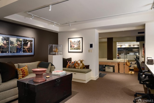 carpeted living room featuring a tray ceiling and track lighting