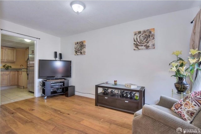 living room with light hardwood / wood-style floors