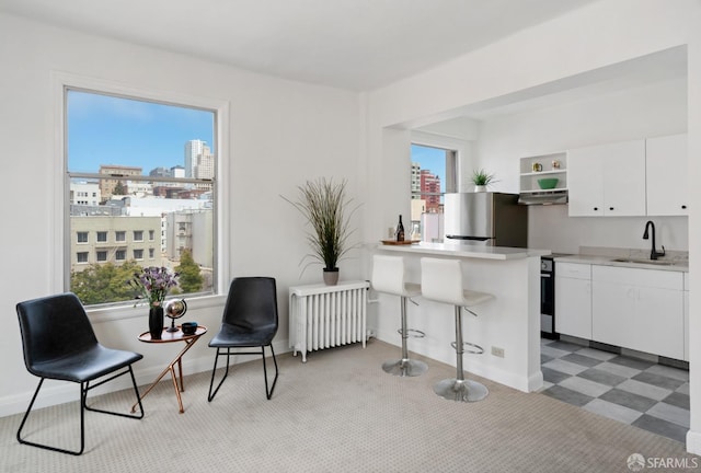 sitting room featuring a healthy amount of sunlight, radiator, and sink