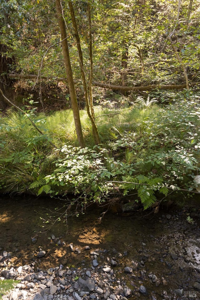 2770 Bohemian Hwy, Occidental, CA 95465 - view of local wilderness