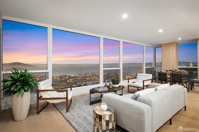 living room featuring expansive windows and light hardwood / wood-style flooring