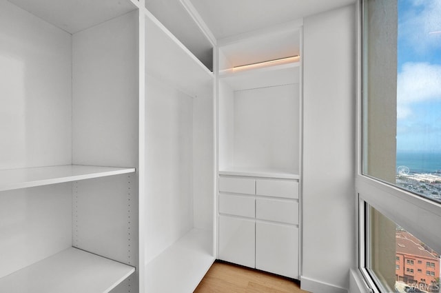 walk in closet featuring light hardwood / wood-style flooring