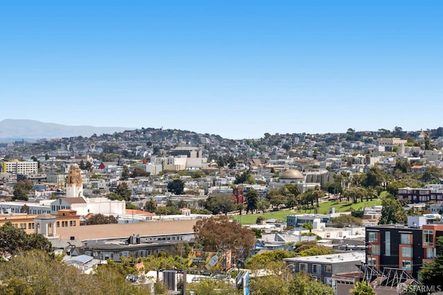161 Castro St Unit C, San Francisco, CA 94114 - photo 33