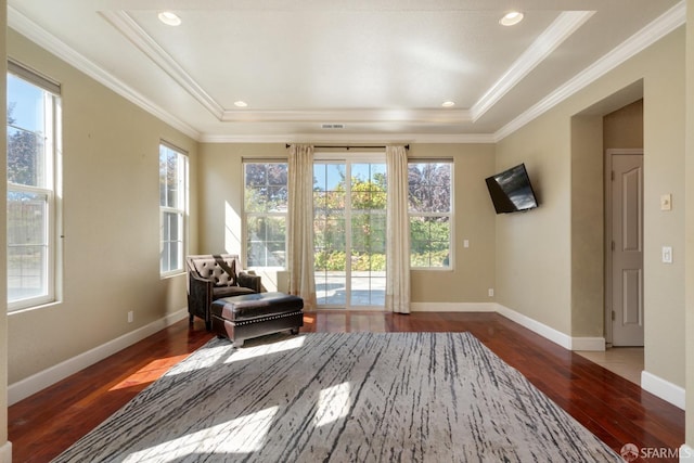 interior space featuring wood-type flooring, a tray ceiling, plenty of natural light, and ornamental molding