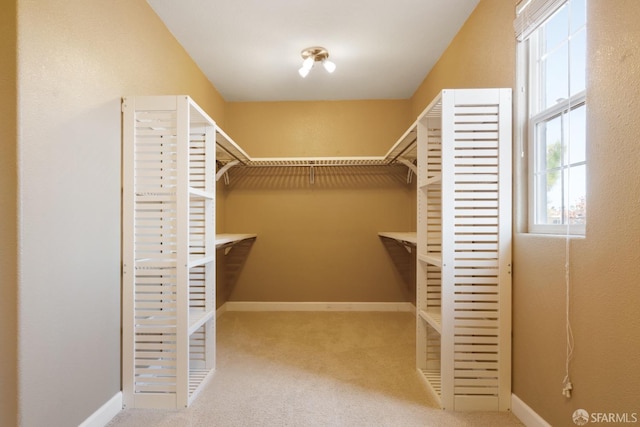 spacious closet with light colored carpet