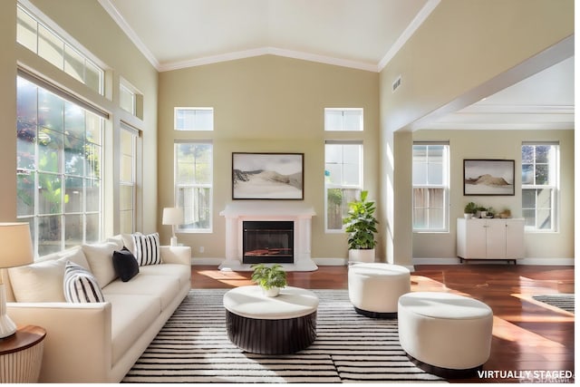 living room featuring ornamental molding, dark wood-type flooring, and vaulted ceiling