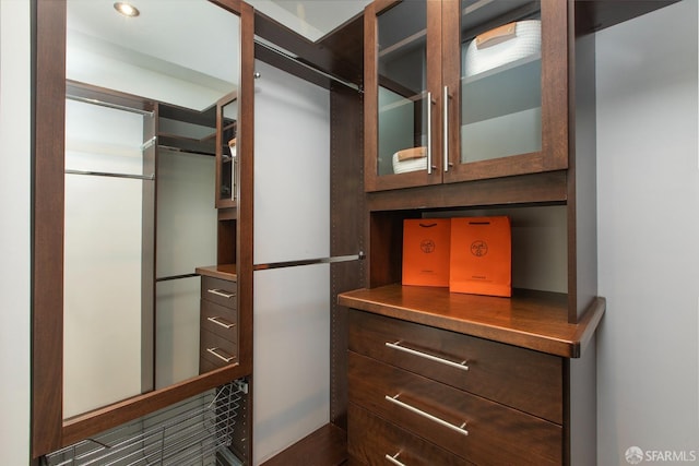 view of walk in closet