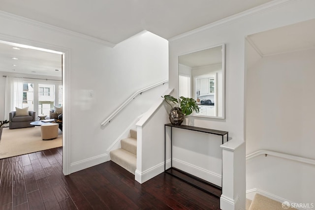 stairs featuring baseboards, hardwood / wood-style floors, and crown molding