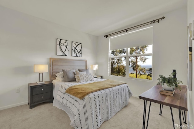 bedroom with baseboards and carpet floors