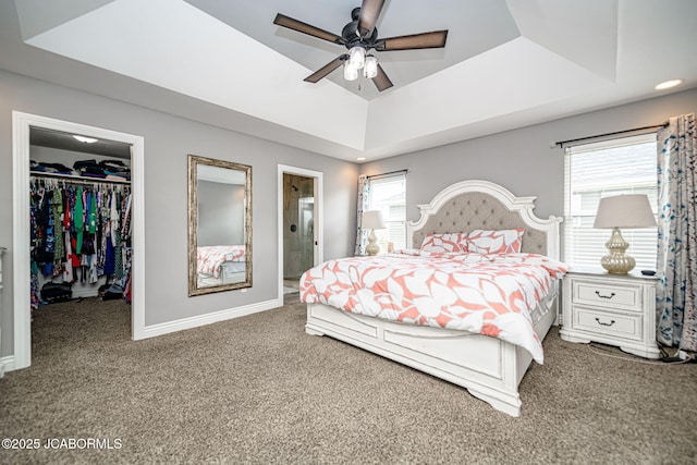 carpeted bedroom with a walk in closet, baseboards, multiple windows, and a tray ceiling