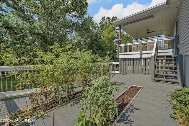 208 Renee Dr, Ashland, MO 65010 - photo 49
