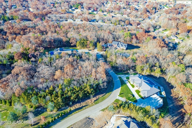 drone / aerial view