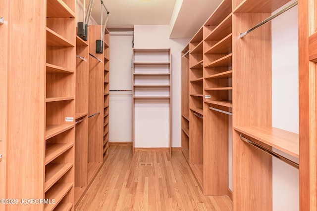 spacious closet featuring light hardwood / wood-style flooring