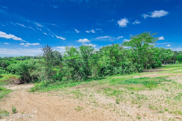8206 Big Meadows Rd, Jefferson City, MO 65101 - view of local wilderness