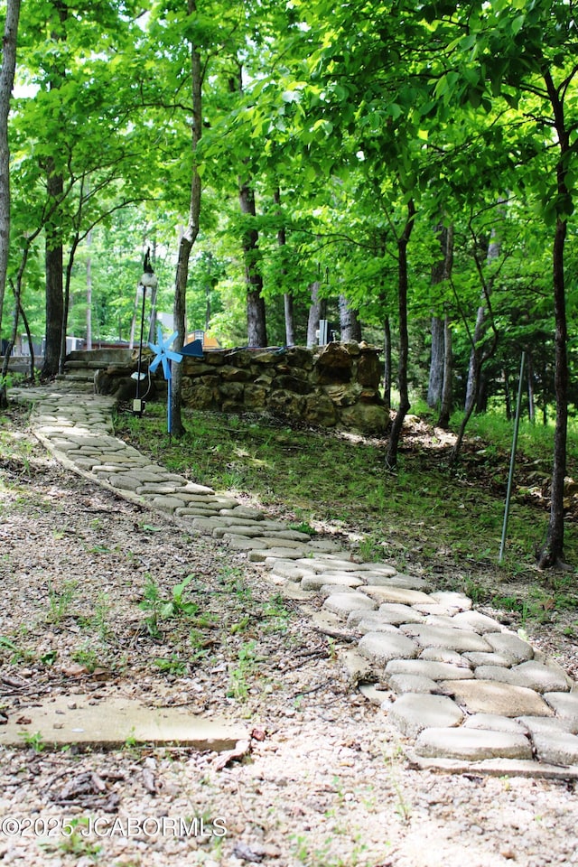 6640 Doe Vw, Steedman, MO 65077 - view of local wilderness