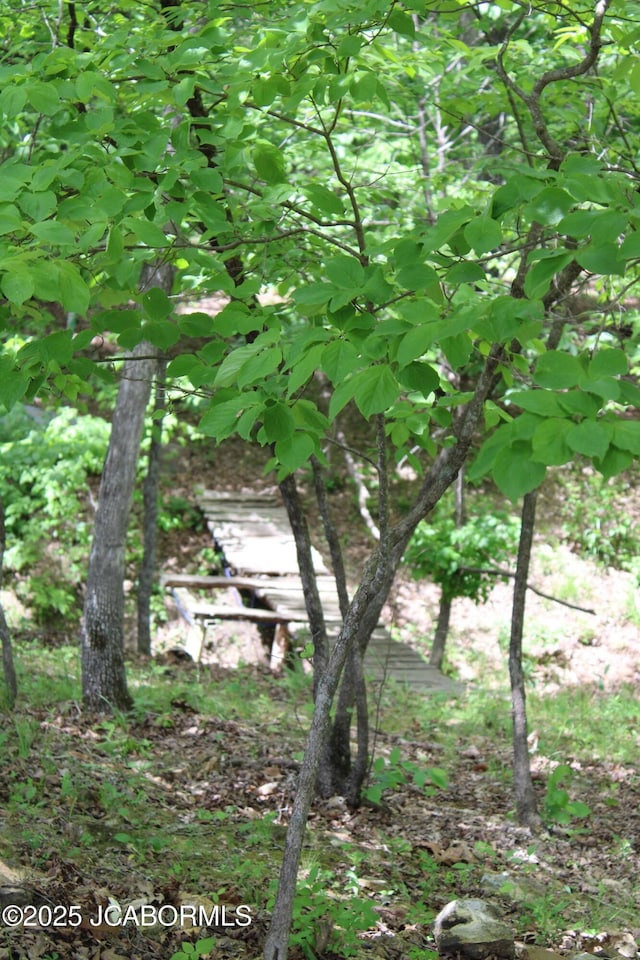 6640 Doe Vw, Steedman, MO 65077 - view of local wilderness