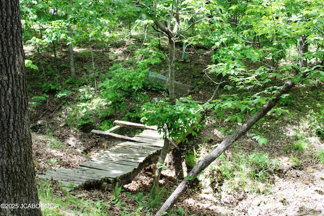 6640 Doe Vw, Steedman, MO 65077 - view of local wilderness