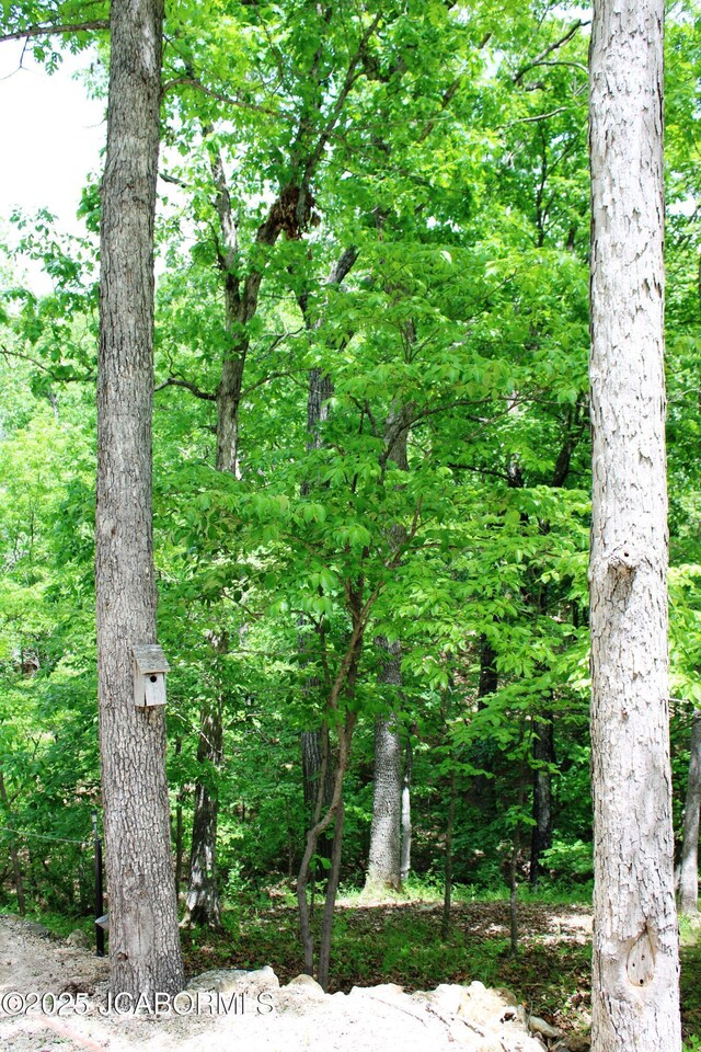 6640 Doe Vw, Steedman, MO 65077 - view of tree filled area