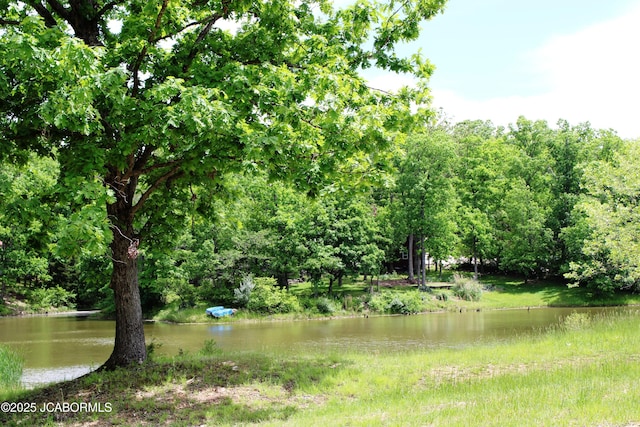 6640 Doe Vw, Steedman, MO 65077 - water view